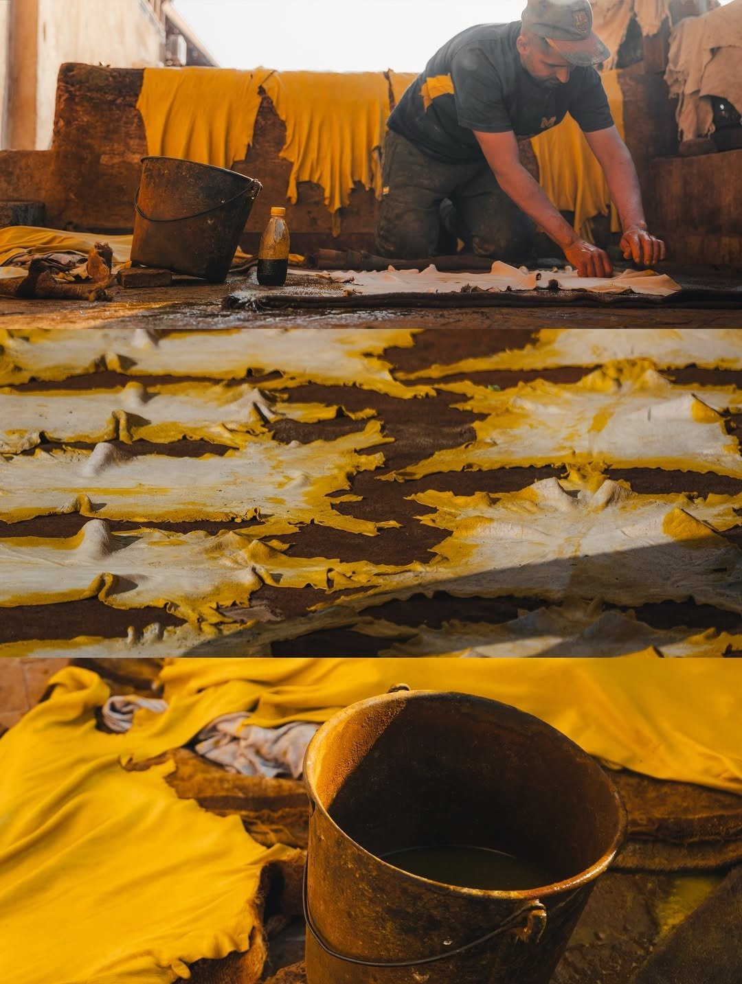 imgi_5_505461309_18505904398052327_5748278240103394446_n